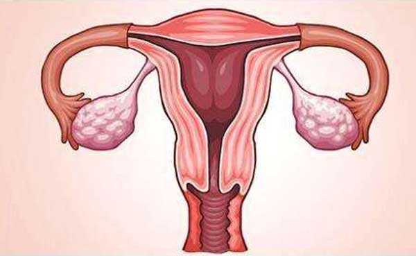 双子宫切除残角后怀孕，乌克兰试管婴儿 | 子宫内壁薄如何胚胎移植？